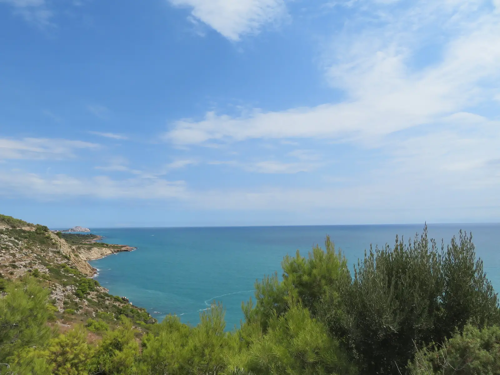 Panorámica de la Sierra de Irta desde Torre Badum, con el pinar sobre el mar y la costa sin urbanizar