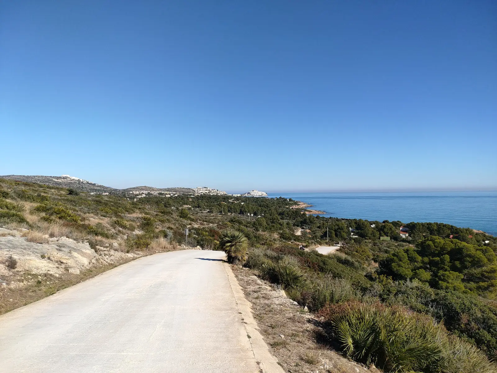 Camino que recorre la costa de la Sierra de Irta entre matorral y pinos