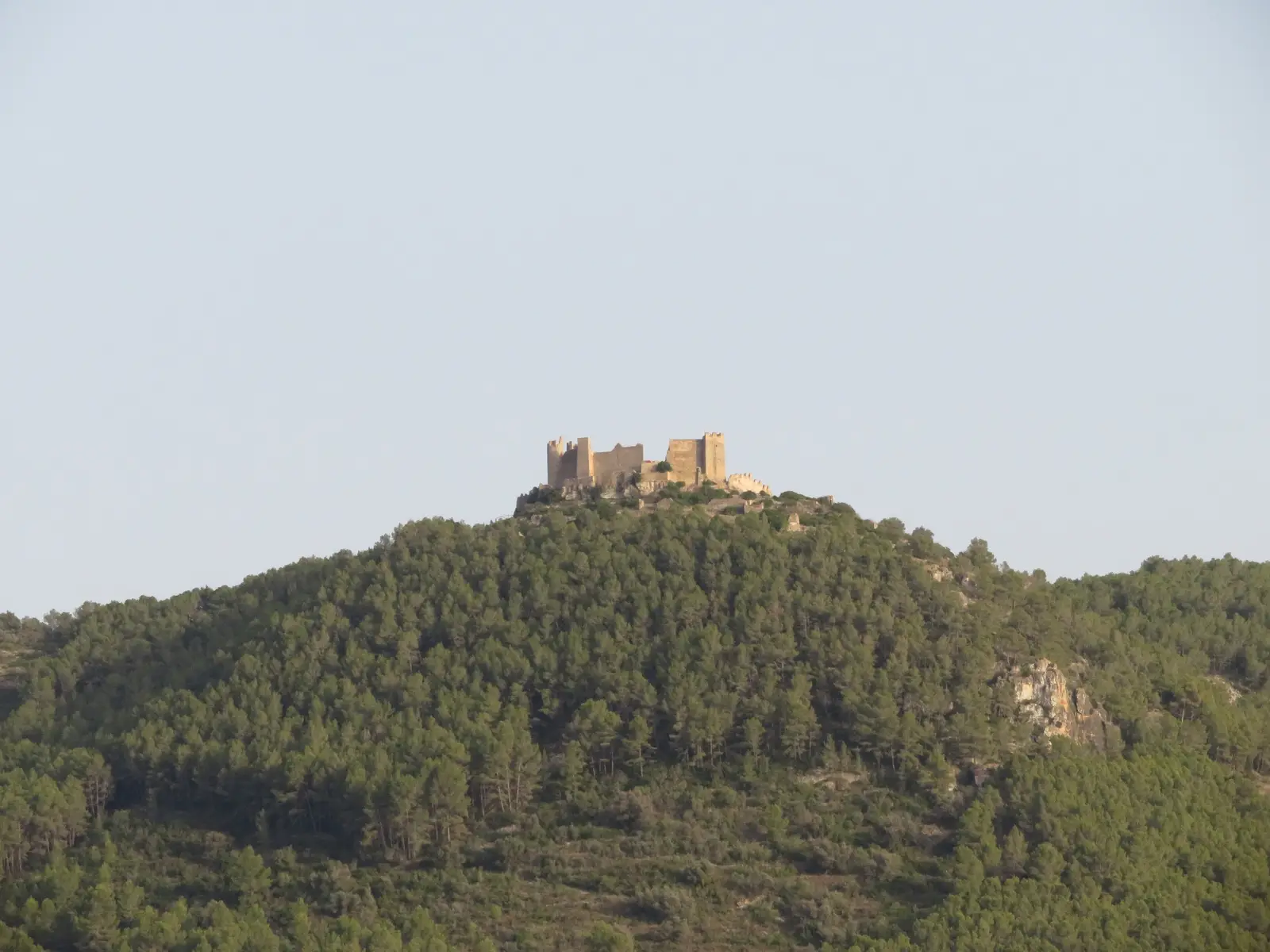 Castillo de Xivert en lo alto de un monte de pinar de la Sierra de Irta